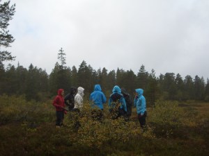 CIMG6814 hmmm, where should we put up the tent?????