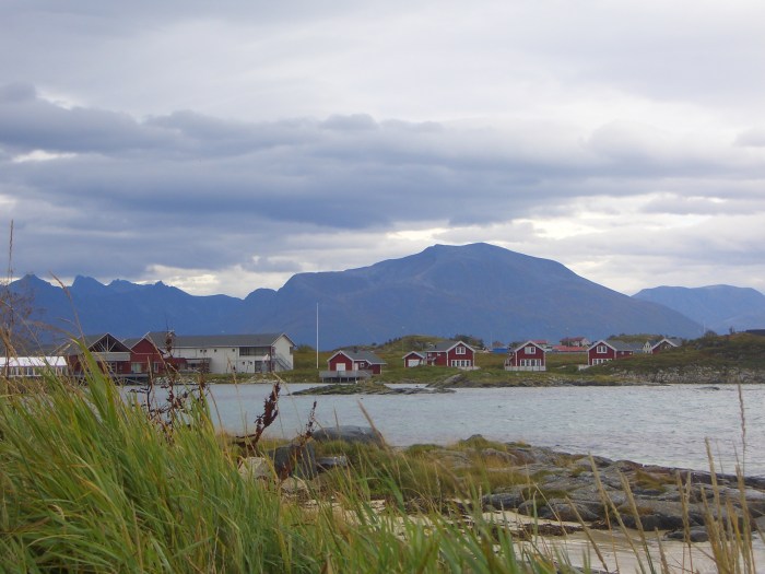 CIMG7341 Summaroy...