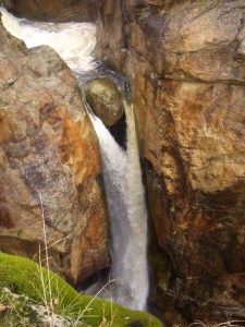 looks really cool...