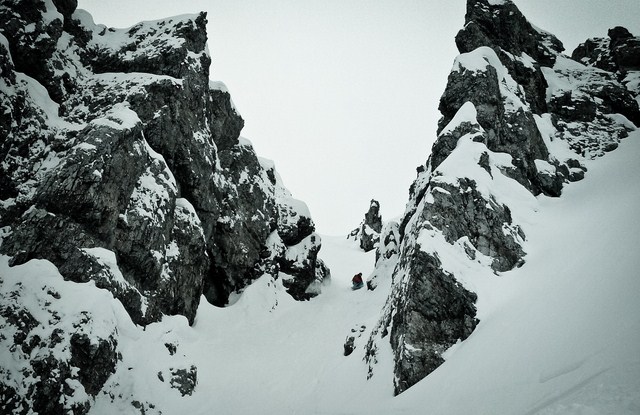 Waldi in der Rinne...