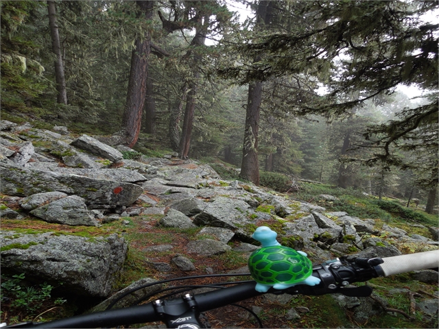 nasse Steine... not good...