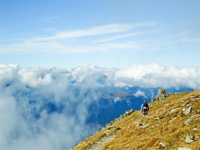 Wetterkreuzkogel (18 von 21)