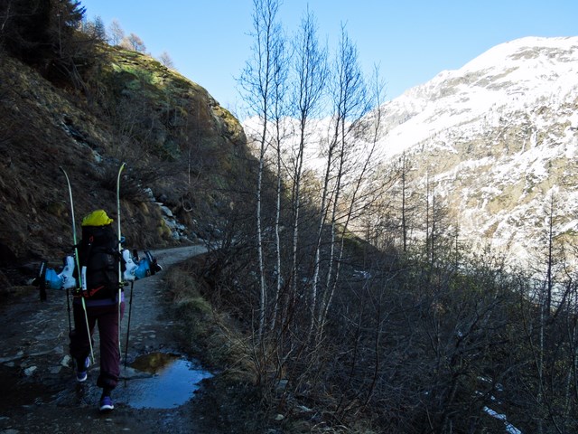 Fühle mich wie ein Esel... Bin ich irgendwie auch ;-)...