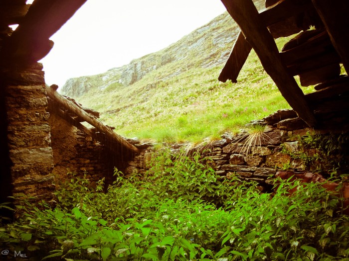 pix (22 von 38) [640x480]