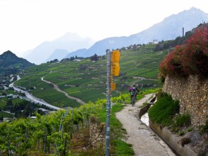 pix (94 von 107) [640x480]