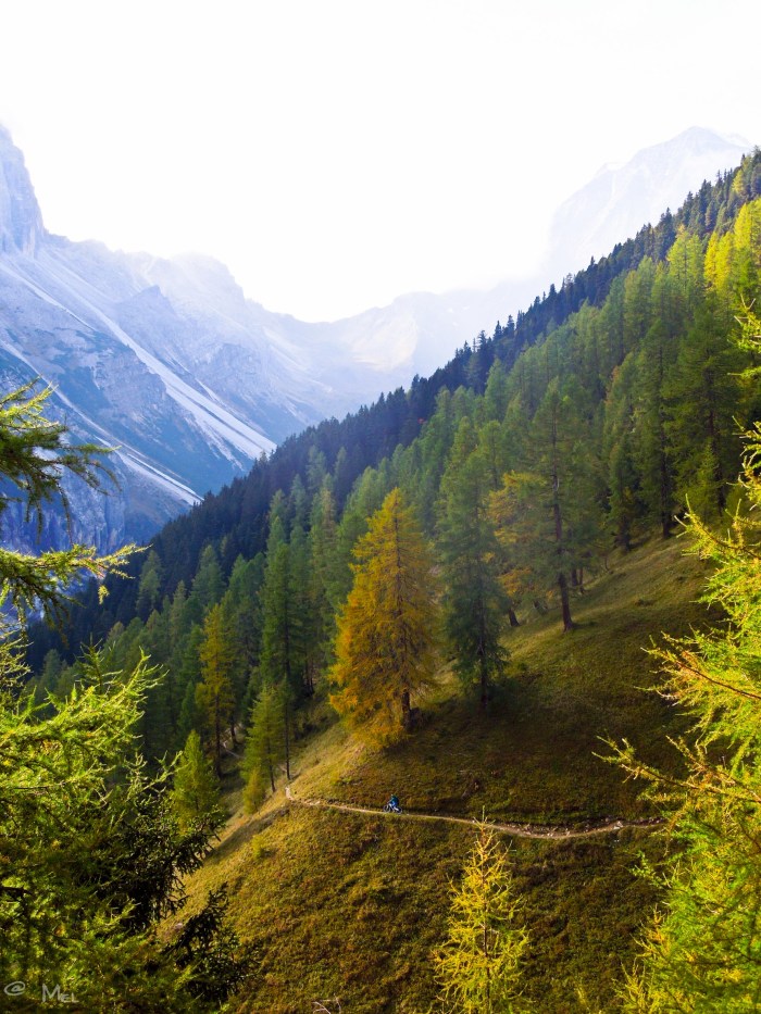 pix (4 von 55) [640x480]