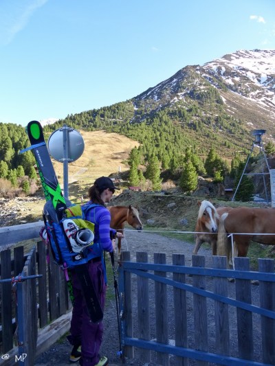 pix (3 von 89) [640x480]