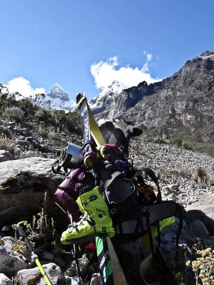 Schweres Gepäck... Selber blöde Kuh ;-)