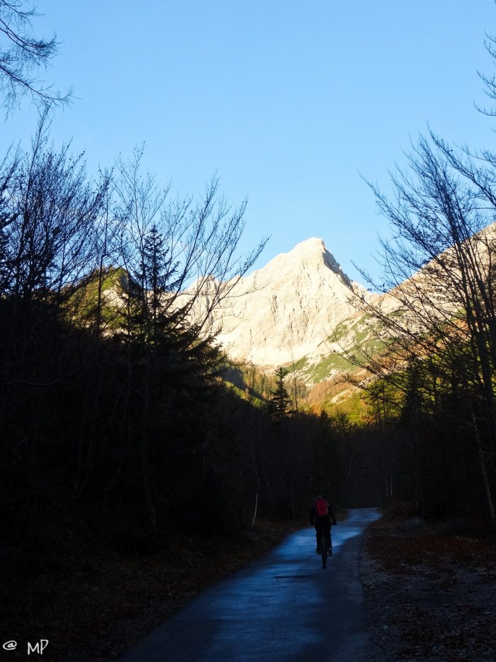 pix (2 von 55) [640x480]