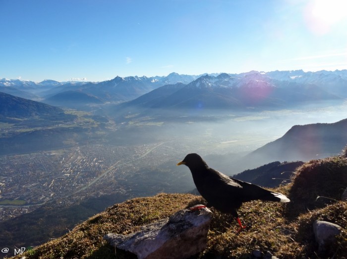 pix (22 von 27) [640x480]