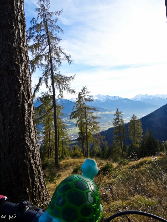 pix (32 von 34) [640x480]