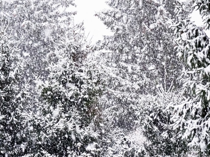 pix (2 von 4) [640x480]