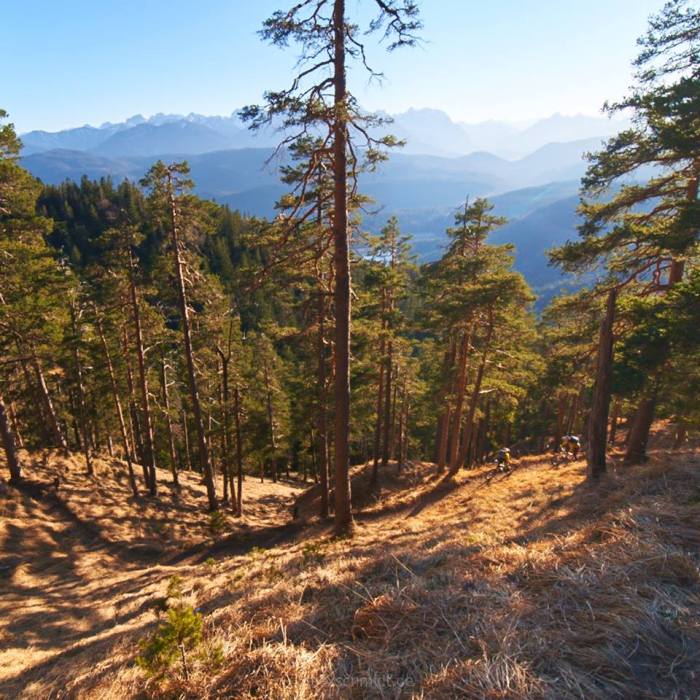 10176245_10208445359399533_1653575733392020162_n