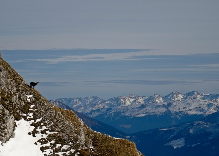 pix (20 von 32) [640x480]