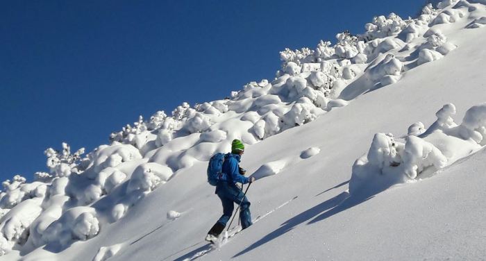 16142365_587268194796473_5367663029822152270_n